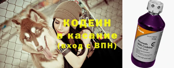 тгк Арсеньев