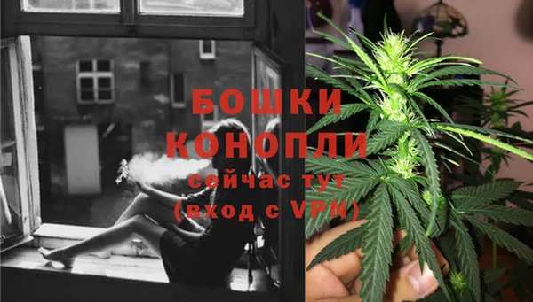 тгк Арсеньев