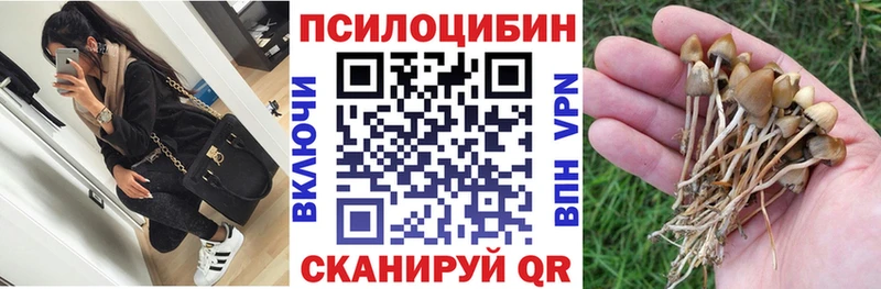 Псилоцибиновые грибы GOLDEN TEACHER  Мышкин 